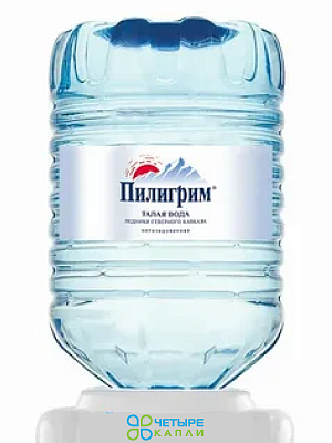 Вода минеральная "ПИЛИГРИМ" 19л в одноразовой таре